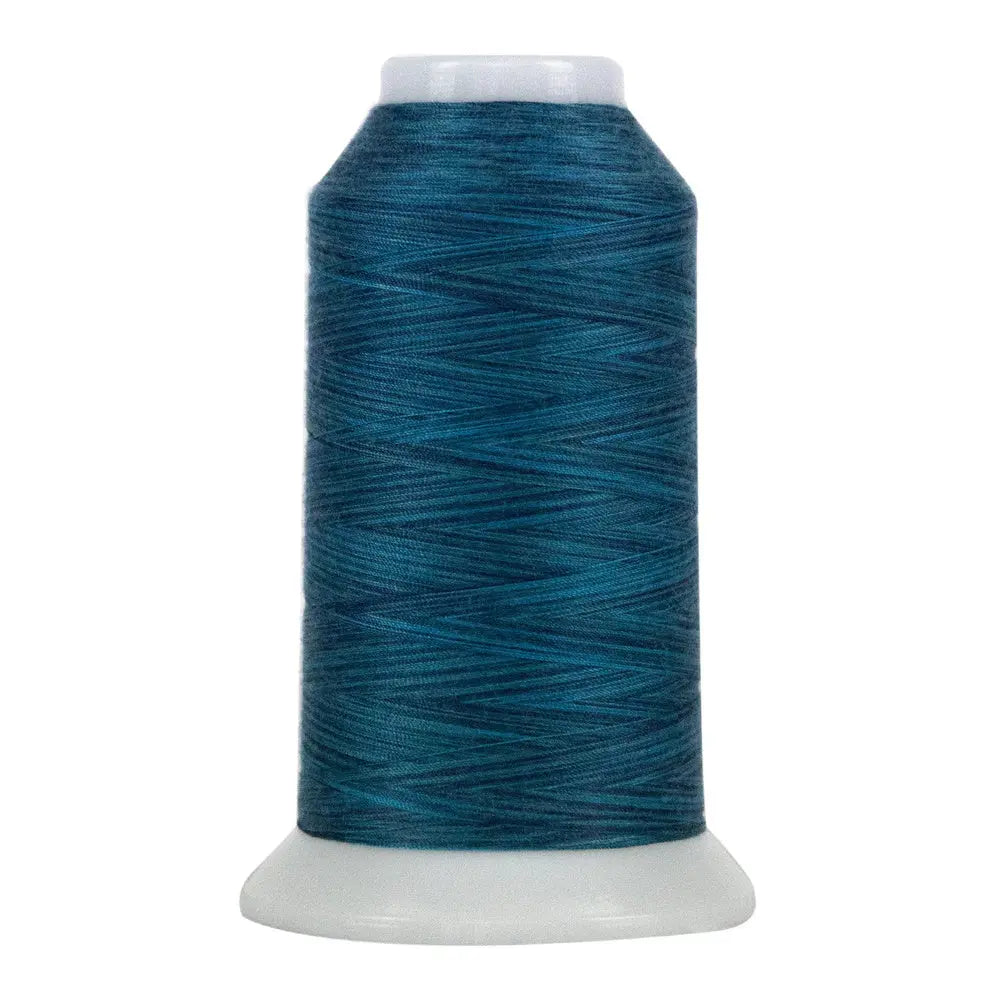 Fil en polyester variegé Galaxy Omni 9060