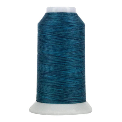 Fil en polyester variegé Galaxy Omni 9060