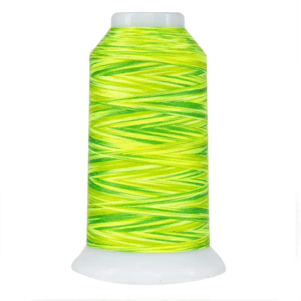 Hilo de poliéster variegado Fresh Lime Omni