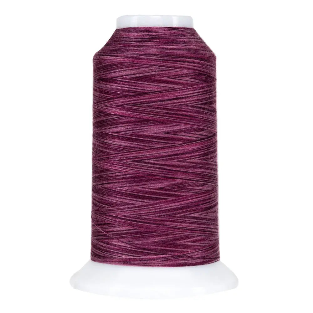 Hilo de poliéster variegado Bumbleberry Omni
