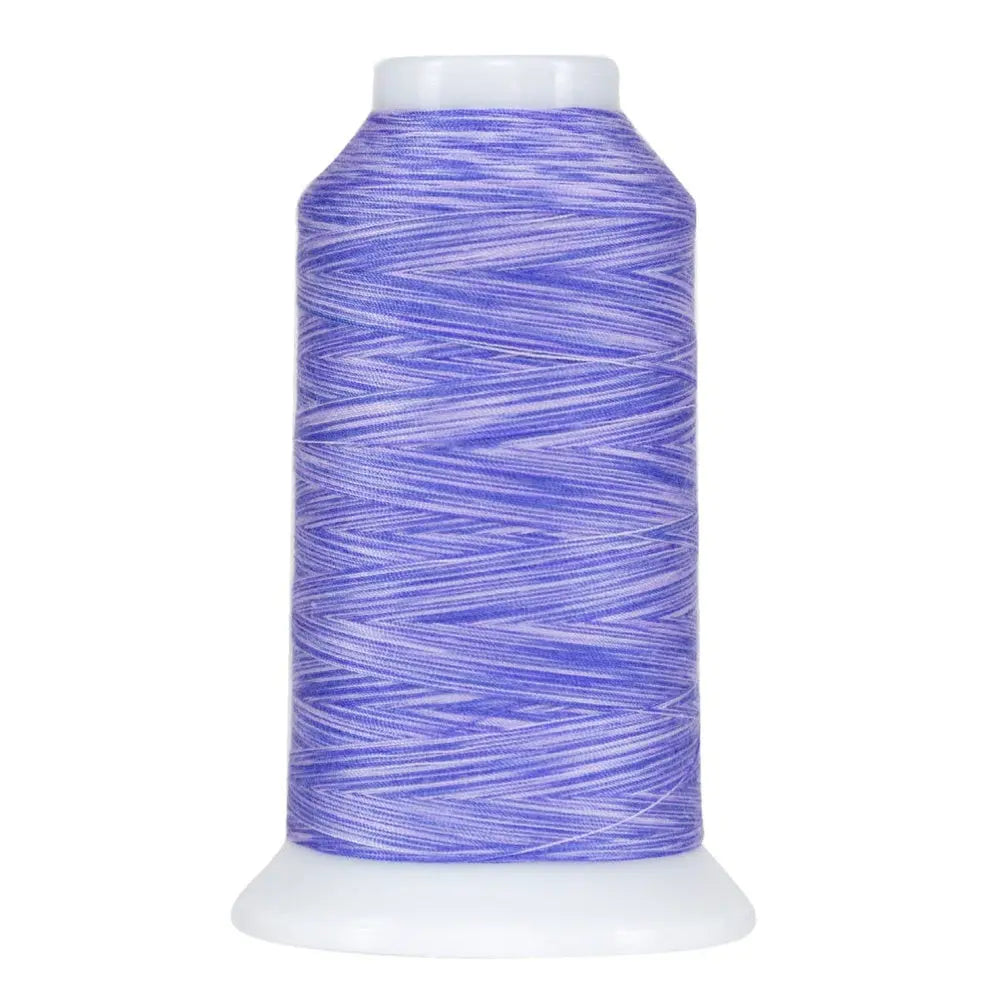 Fil de polyester variegé Omni violet paisley 9075