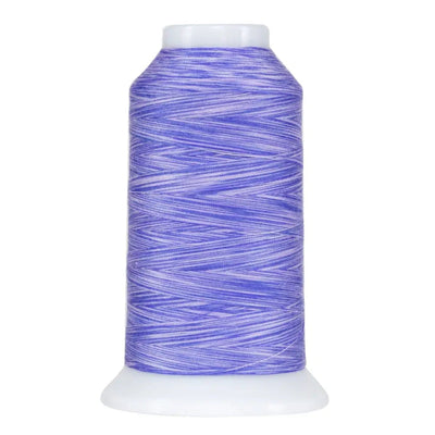 Fil de polyester variegé Omni violet paisley 9075