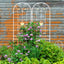 2 Pack Metal Garden Trellis 86.7" x 19.7" Rustproof Trellis for Climbing Plants Outdoor Flower Support Cream White - Korvel