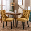 Ensemble de chaises de salle à manger en velours premium - Collection Nikki