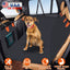 GBruno Dog Car Back Seat Cover