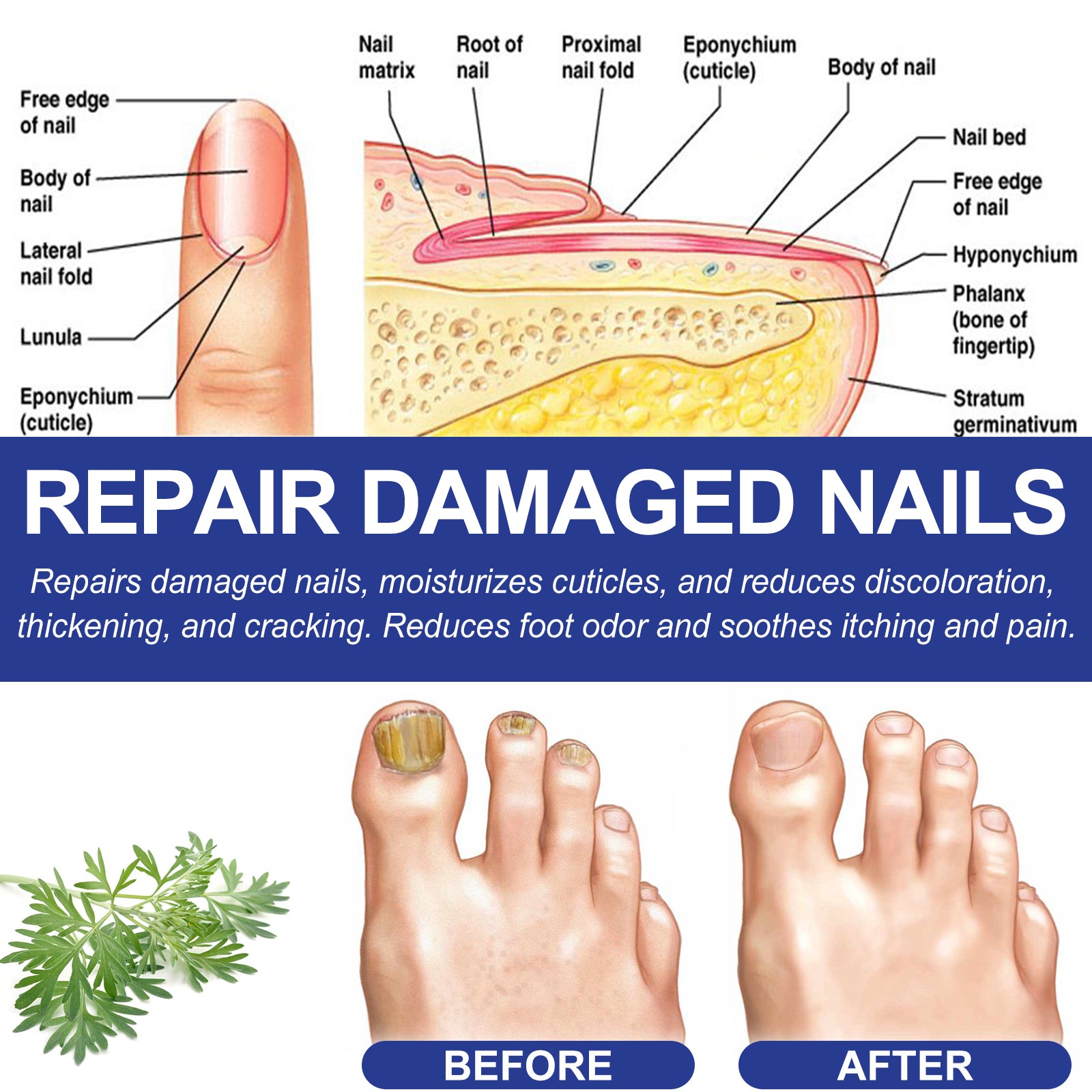 Foot Care Package Repair Soreness And Swelling Relief Foot Soak Foot Clean Nail Calluses Foot Bath Package - Korvel