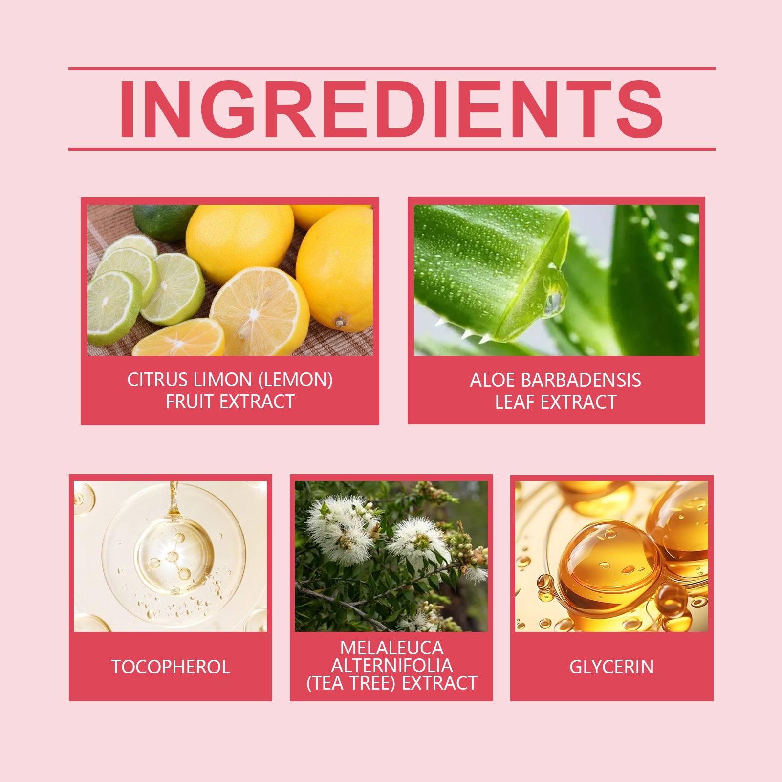 Women's Cream Gently Moisturizes And Moisturizes Body Skin With A Daily Herbal Cream - Korvel