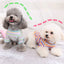 Rainbow Undercoat Dog Clothes Pet Clothes Cat Bears VIP Pomeranian Schnauzer Small Dog Clothes - Korvel