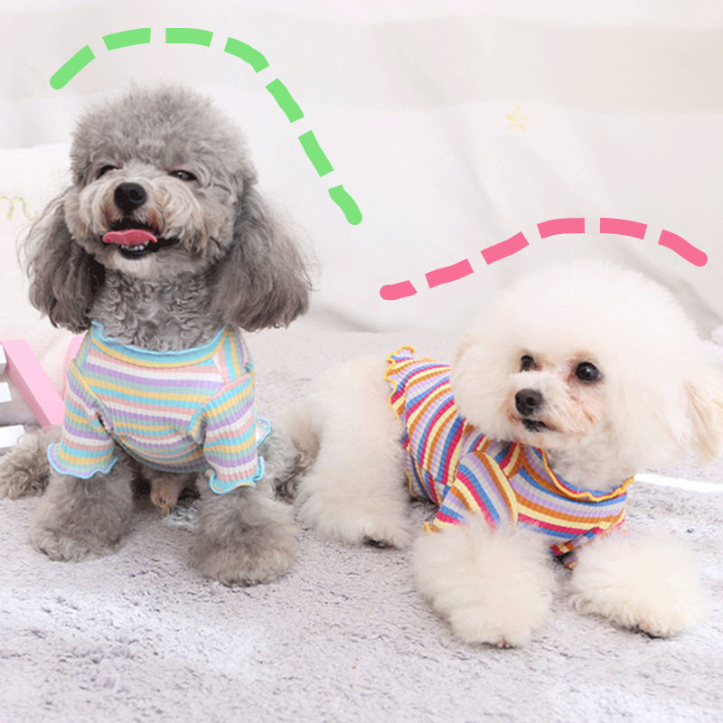 Rainbow Undercoat Dog Clothes Pet Clothes Cat Bears VIP Pomeranian Schnauzer Small Dog Clothes - Korvel