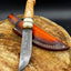 Exquisite Custom Damascus Steel Hunting Knife with Bone and Olive Wood Handle - Korvel