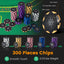 14 Gram Poker Chip Set - 300 Pieces for Casino-Quality Play
