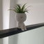 Cute Tree Elf Succulent Flower Pot Indoor Gardening Planter Decorative Wholesale Home Decor - Korvel