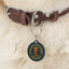 Political Parody Cat Collar Tag – Fantastic Cat, Total Winner