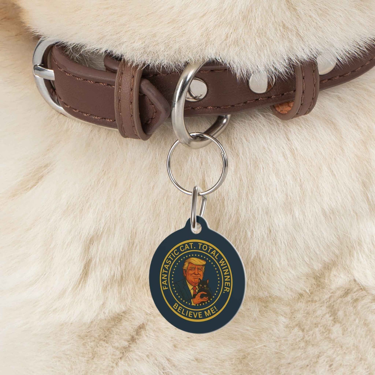 Political Parody Cat Collar Tag – Fantastic Cat, Total Winner