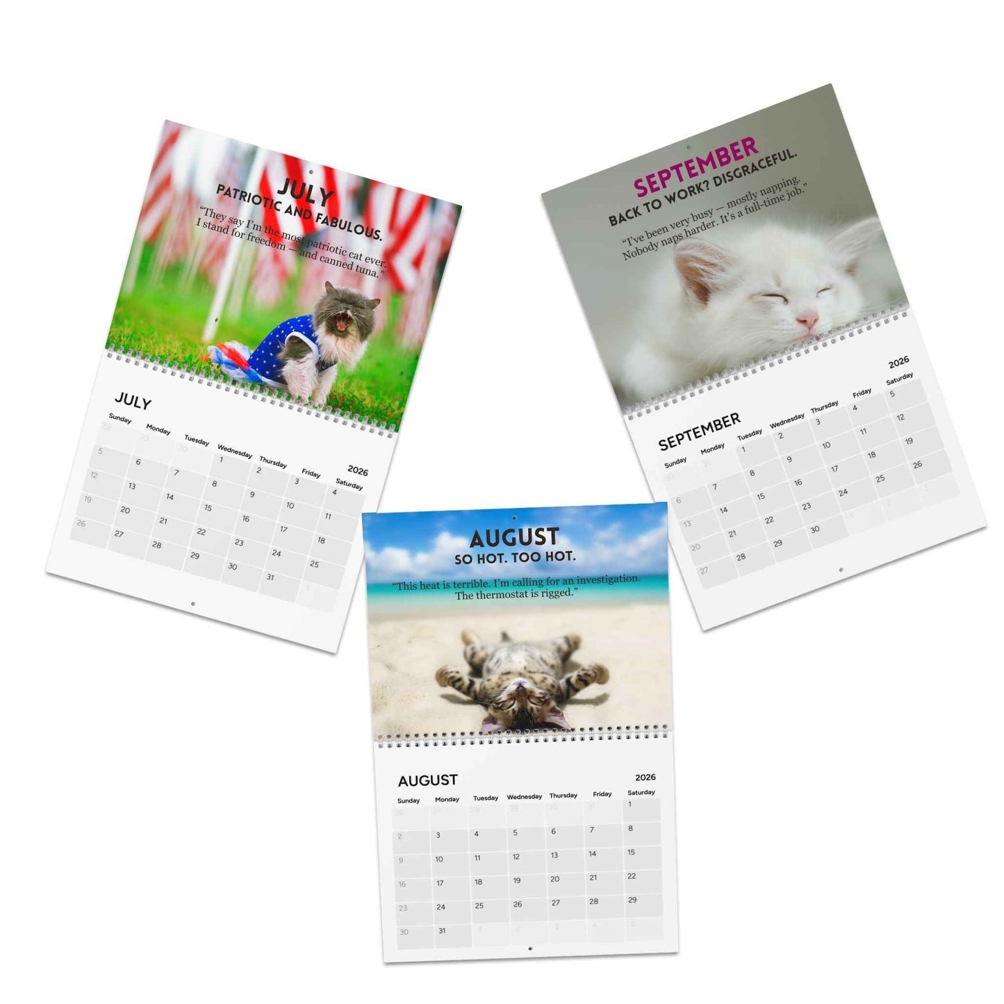 Calendrier 2026 L'Art du Ronronnement
