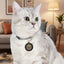 Étiquette pour animaux de compagnie du Bureau fédéral des chats de soutien émotionnel