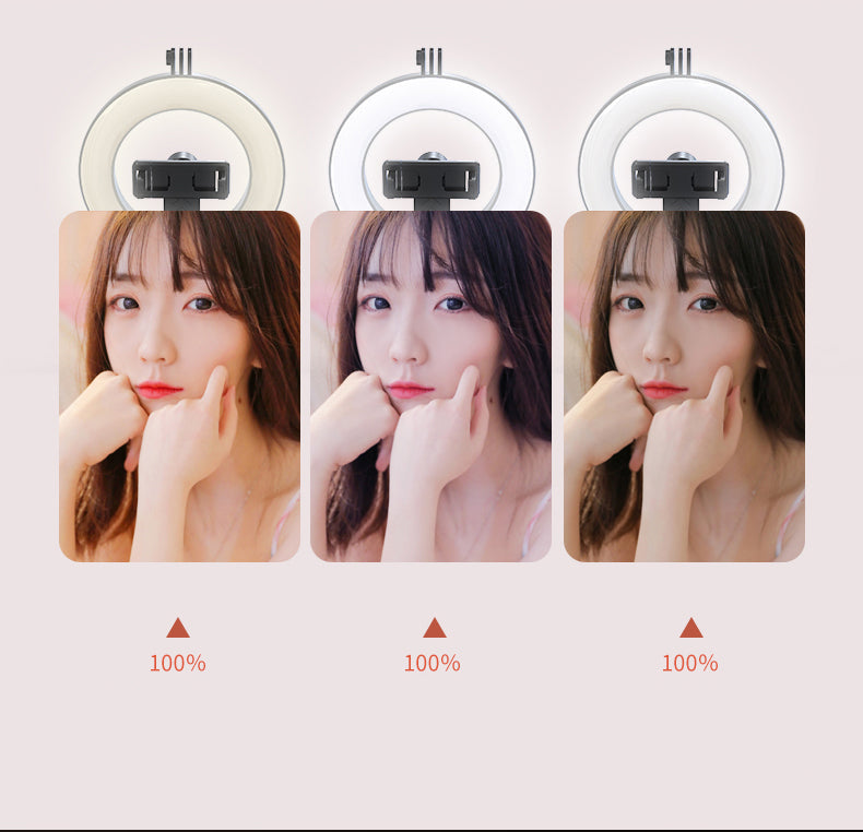 New P40D Portable Selfie Stick With 6 Inches Round Net Celebrity Beauty Fill Light Mobile Phone Live Support - Korvel