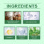 Digestive And Intestinal Health Drops, Organic Oregano Oil Drops Treatment - Korvel