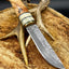 Exquisite Custom Damascus Steel Hunting Knife with Bone and Olive Wood Handle - Korvel