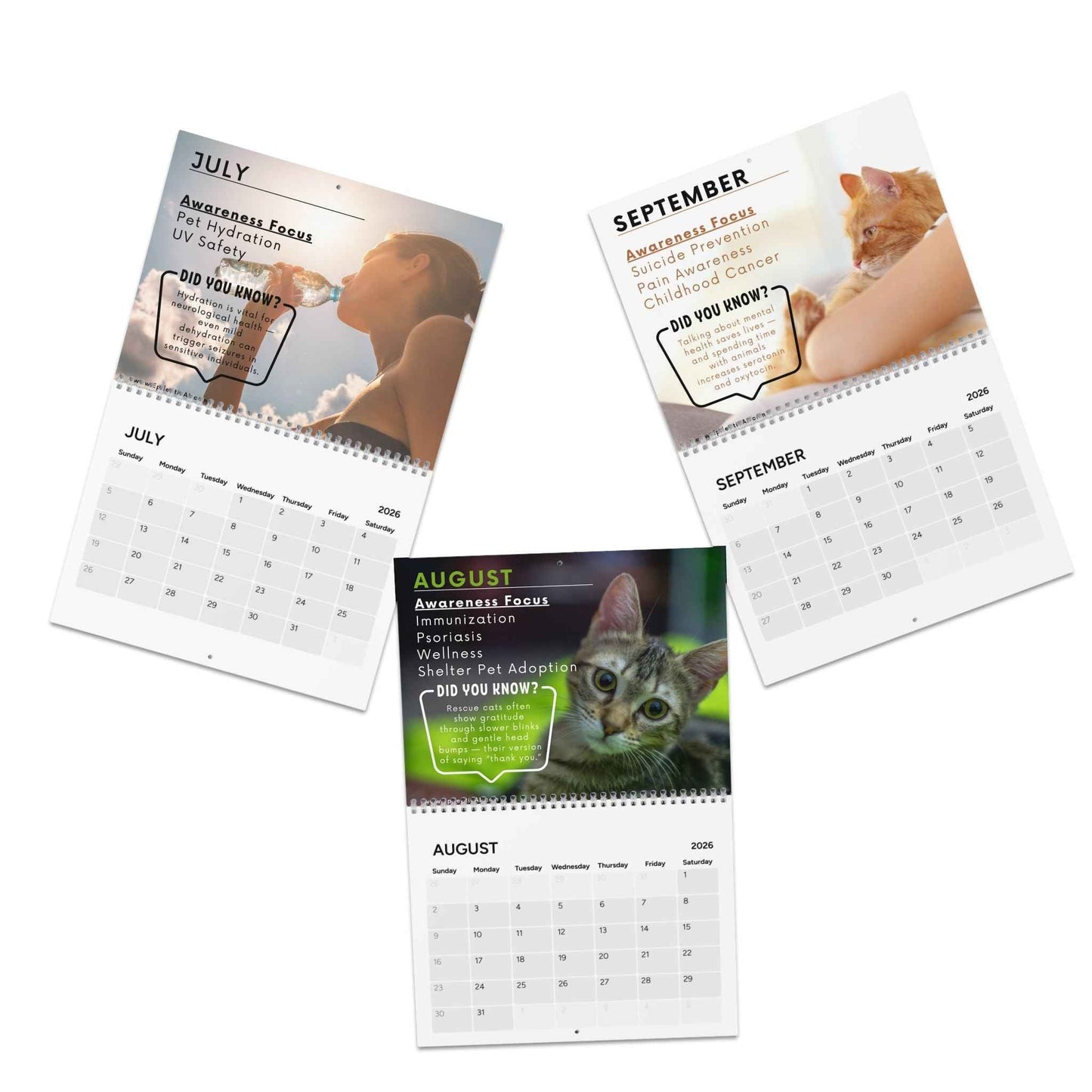 Calendrier de sensibilisation 2026 : Thèmes mensuels pour l'inspiration