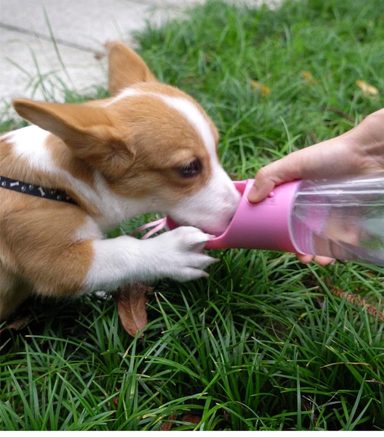 Bouteille d'eau portable pour chien - Distributeur de voyage léger