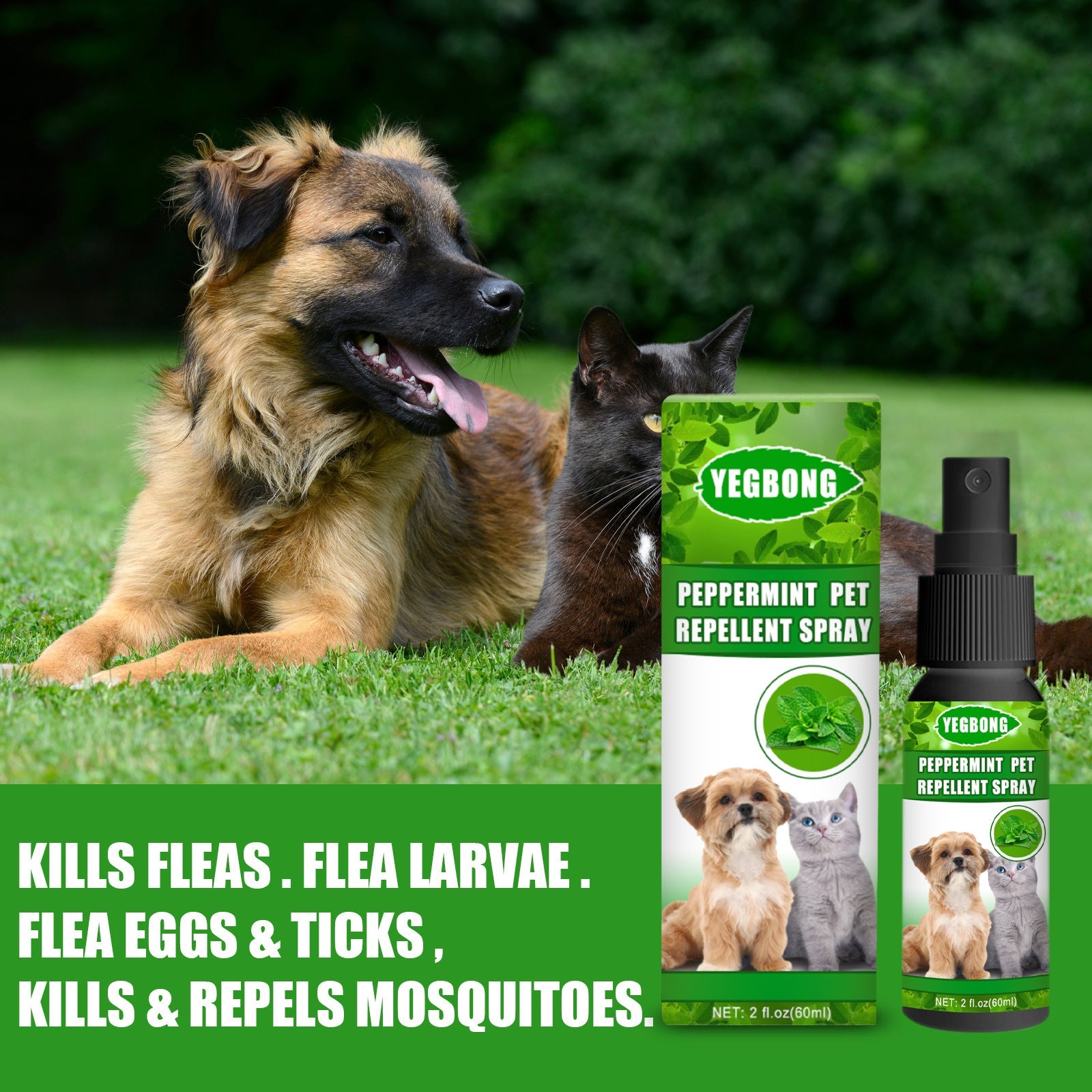 Peppermint Pet Repellent Spray, Dog Mite Spray Pet Mite Fungus Spray For Cats And Dogs - Korvel