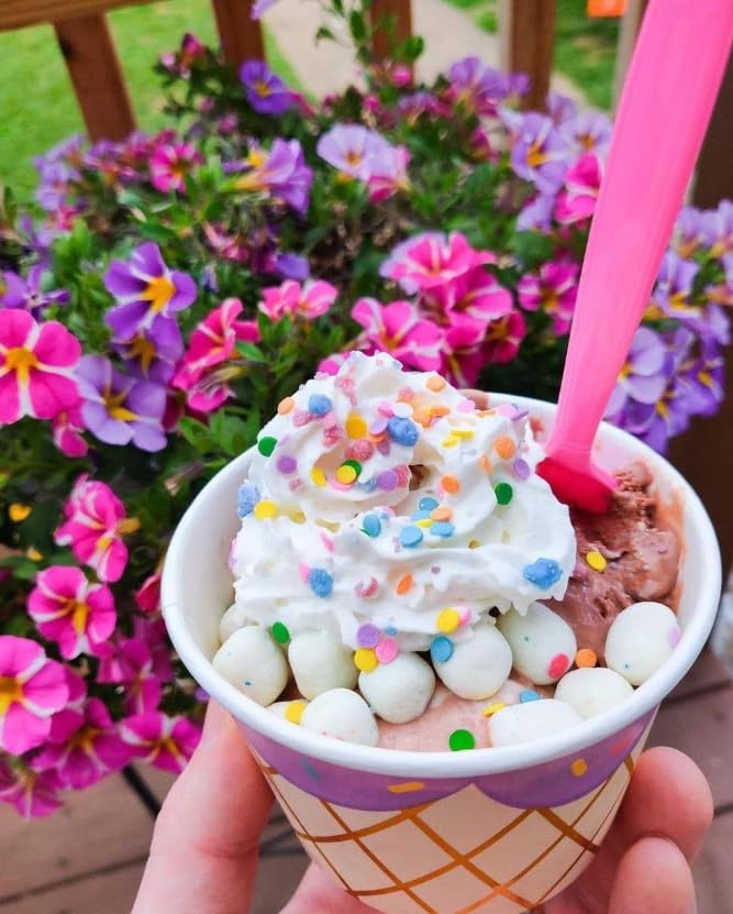 Oasis Supply, Ice Cream, Froyo Night, Cupcake, Bakery and Dessert Toppings (Cupcake Bites) - Korvel