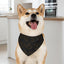 Love Line Art Dog Bandana – Elegant Pet Accessory