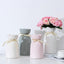 Elegant European-Style Ceramic Ribbon Vase for Home Decor