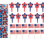 Oasis Supply USA Cake Decorating Bundle - Patriotic Picks & Sprinkles