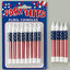 Paquete Todo Americano de Oasis Supply - Esenciales para Fiestas Patrióticas