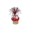 Oasis Supply USA Cake Decorating Bundle - 24 Picks & Sprinkles
