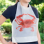 Oasis Supply Crab Bib y Manteles Individuales - Paquete de 25 Juegos Desechables
