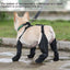 Zapatos para Perros Ajustables e Impermeables para Aventuras al Aire Libre
