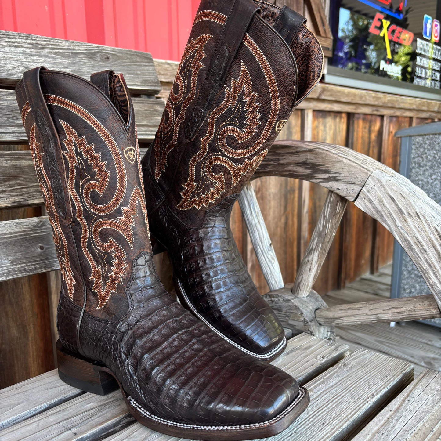 Premium Chocolate Caiman Belly Boots for Men | Ariat - Korvel