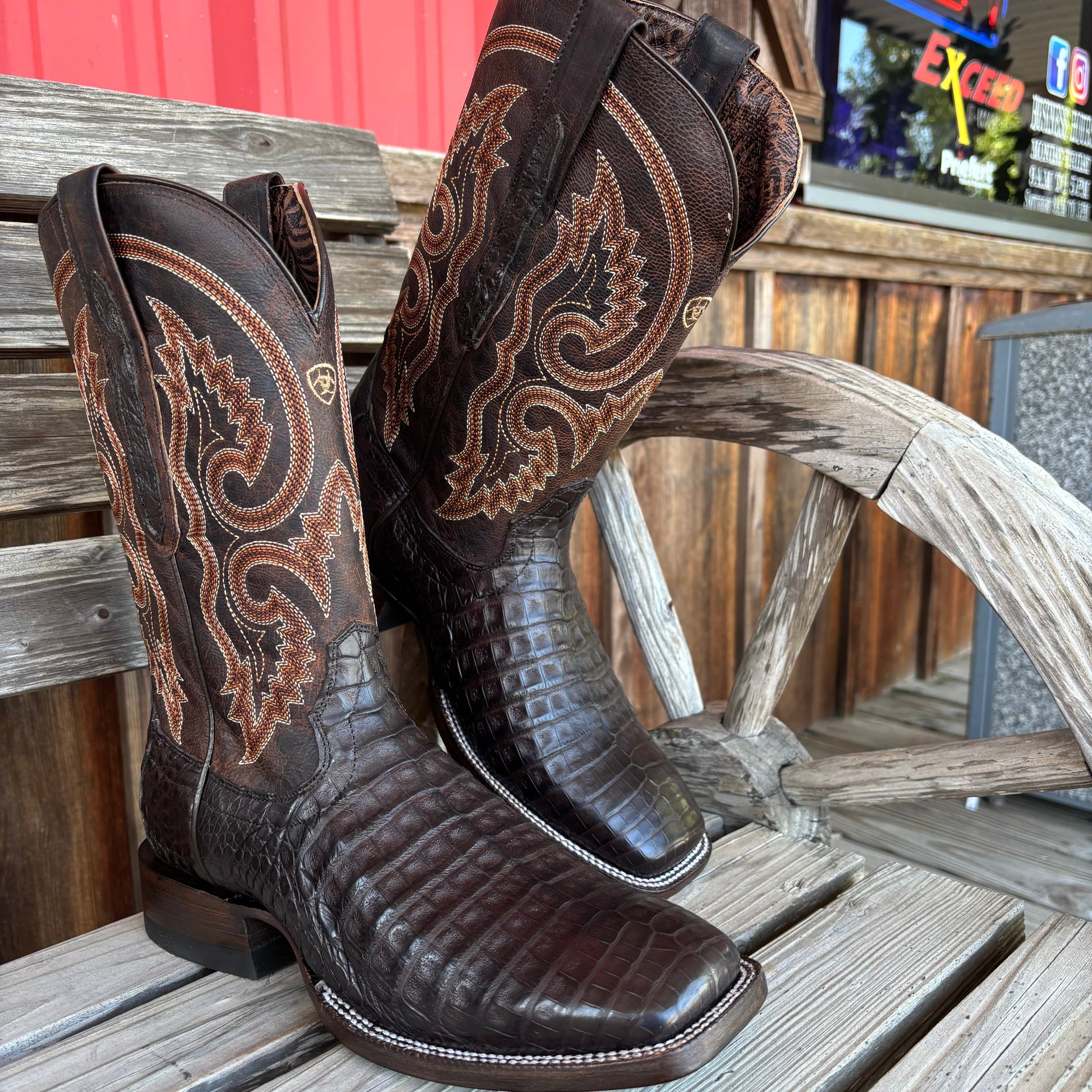 Premium Chocolate Caiman Belly Boots for Men | Ariat - Korvel