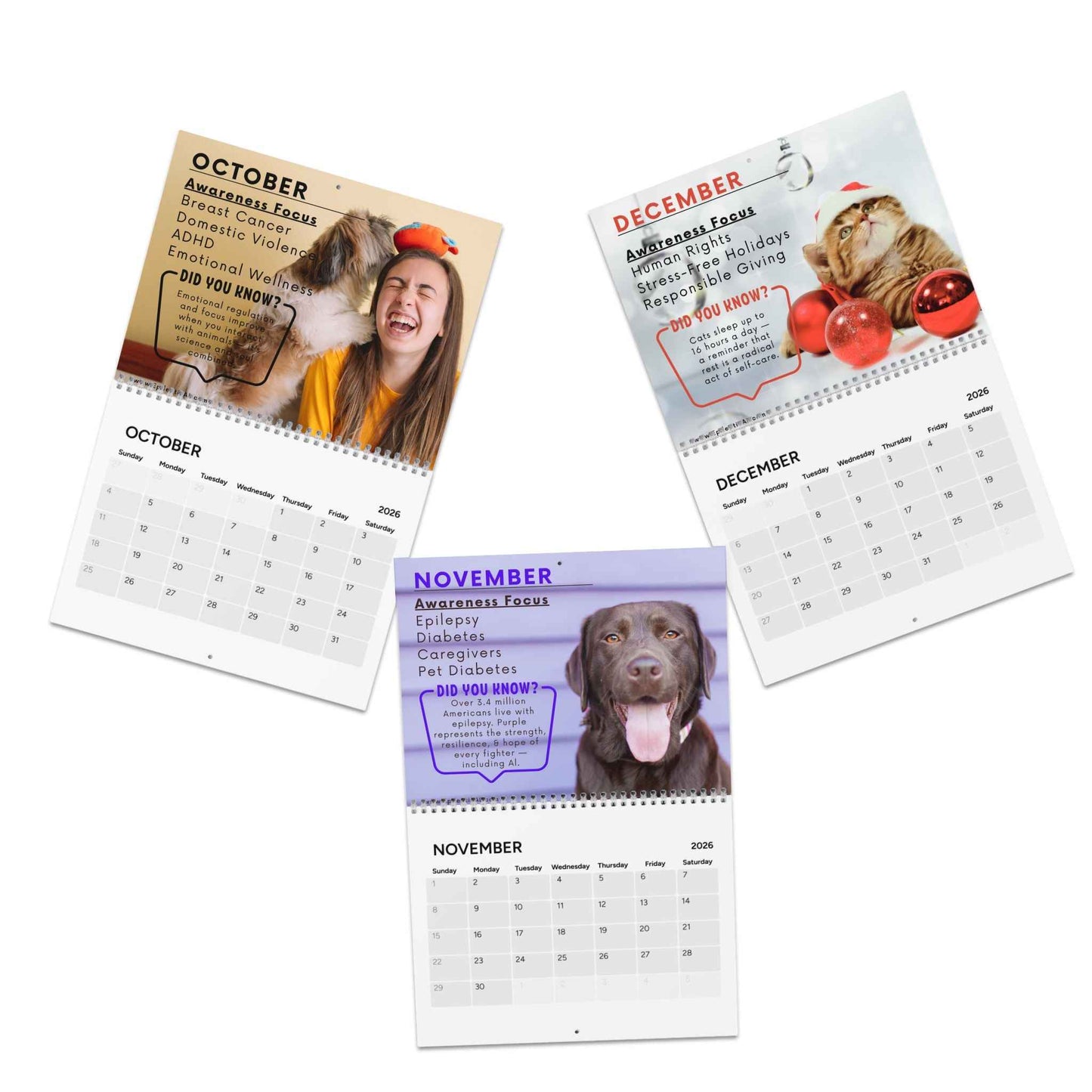 Calendrier de sensibilisation 2026 : Thèmes mensuels pour l'inspiration