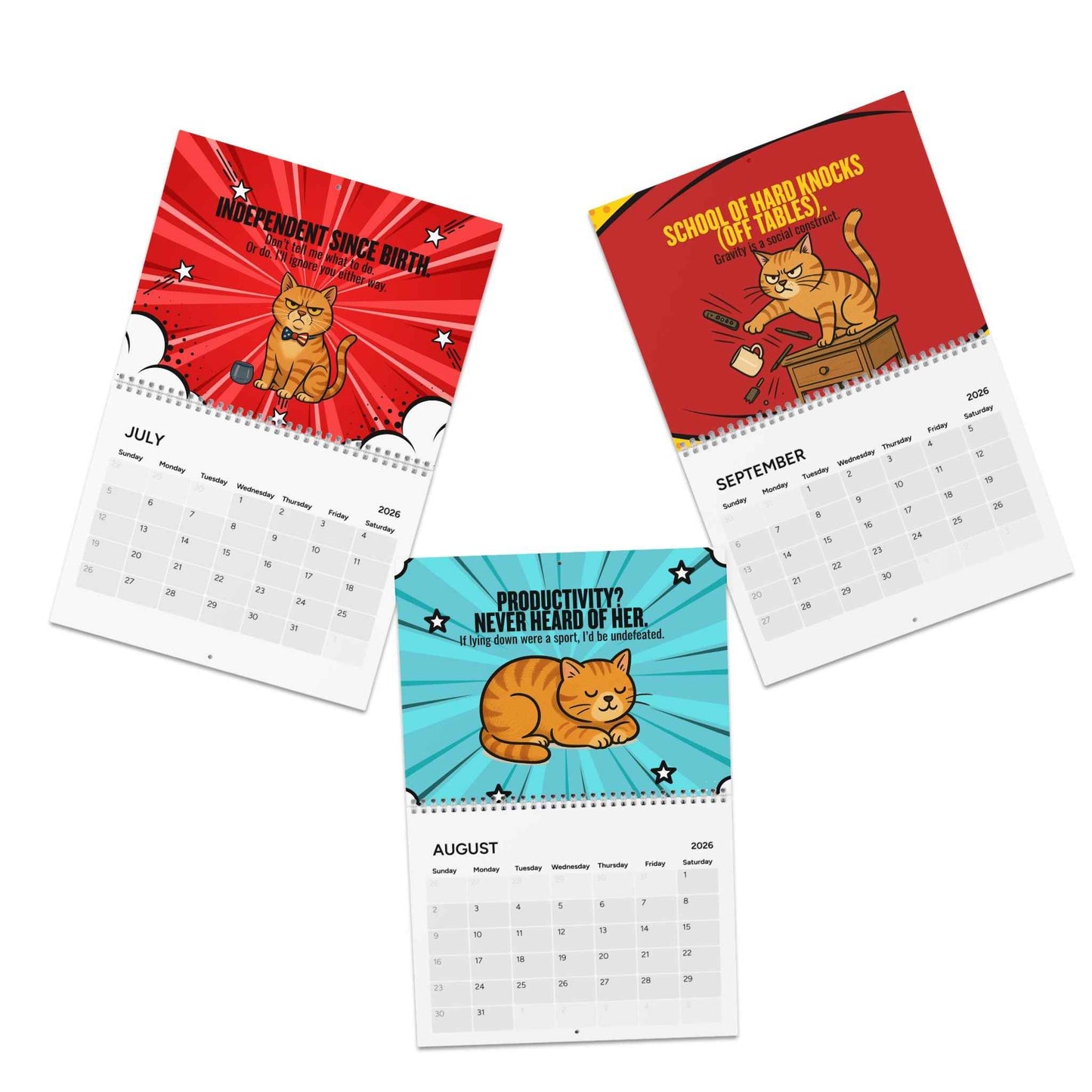 Catsplaining the Year – 2026 Funny Cat Calendar