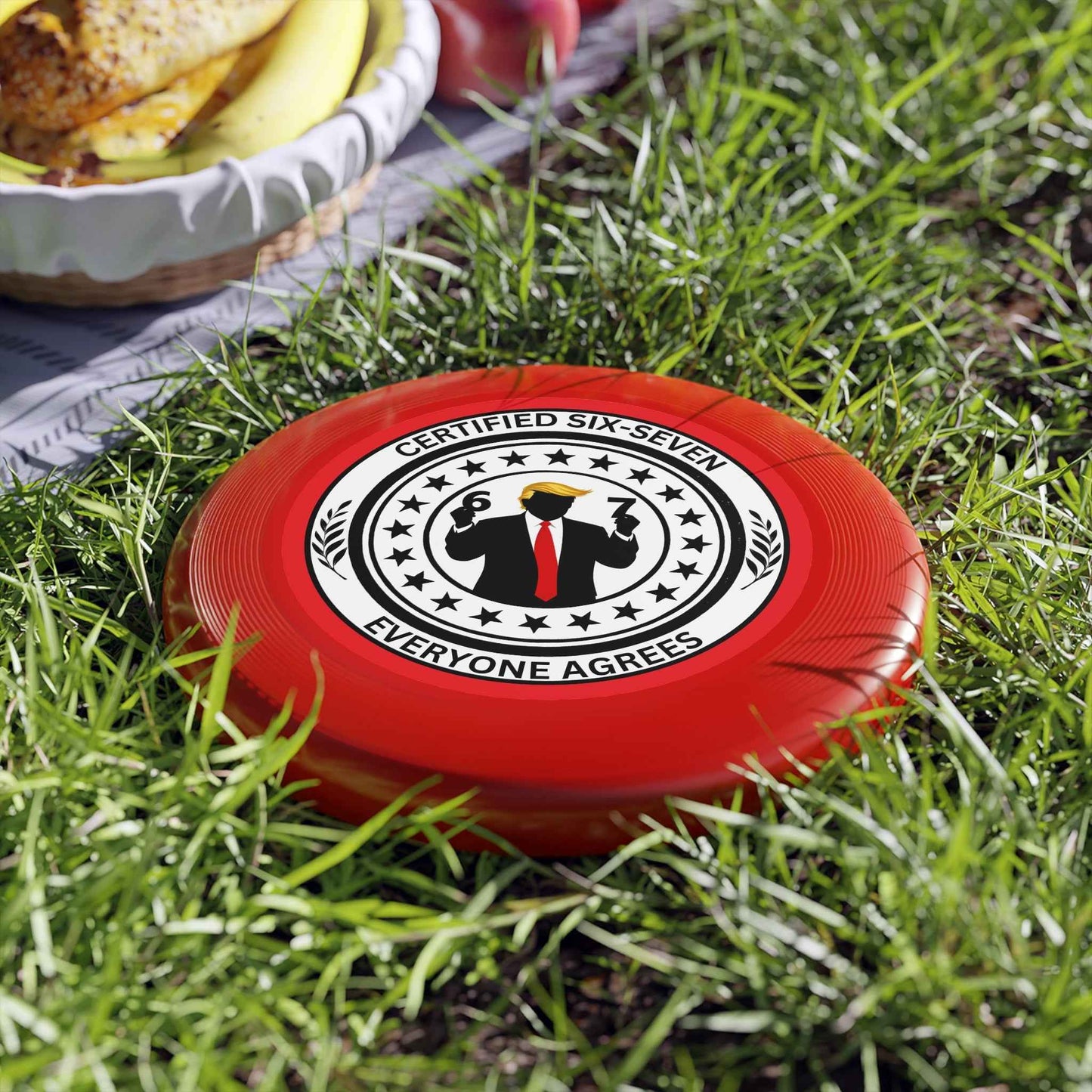 Disque volant Certified Six-Seven – Frisbee de parodie politique
