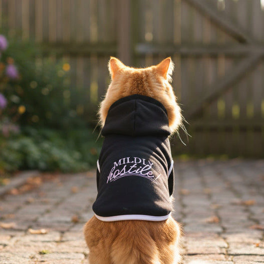 Mildly Hostile Cat Hoodie – Black