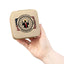 Certified Six-Seven Compact Travel Case