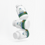 Premium Ginkgo Biloba & Ginseng Capsules