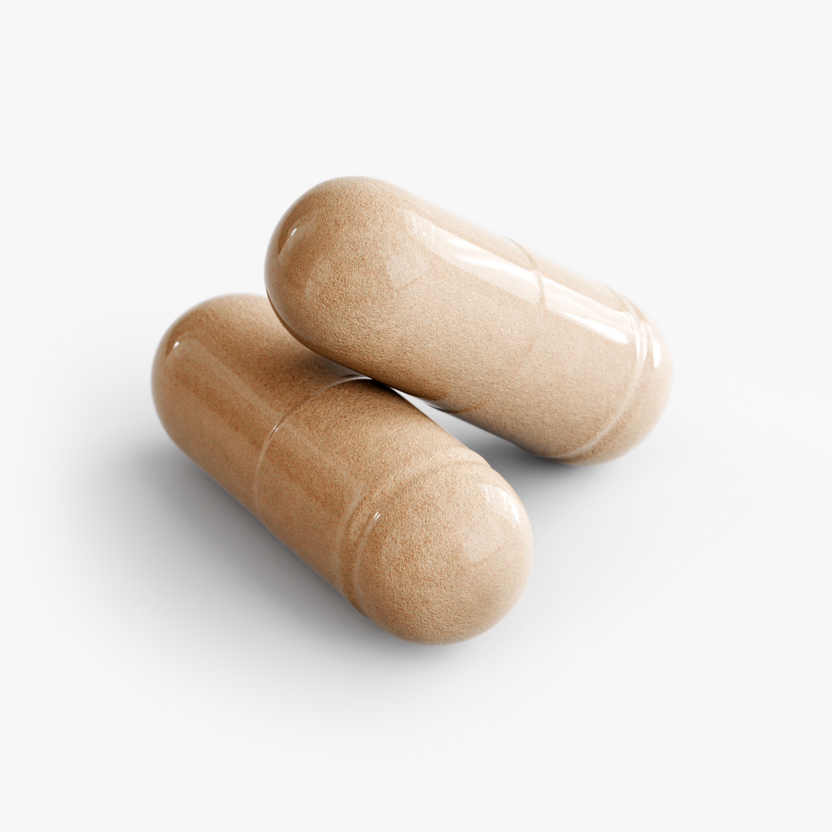 Complexe de champignons premium 10X
