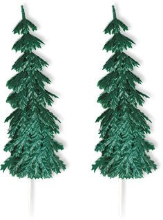 Piques de sapin éternel extra large - 12 ou 48 pièces