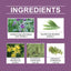 Premium Herbal Joint Care Ointment for Comfort