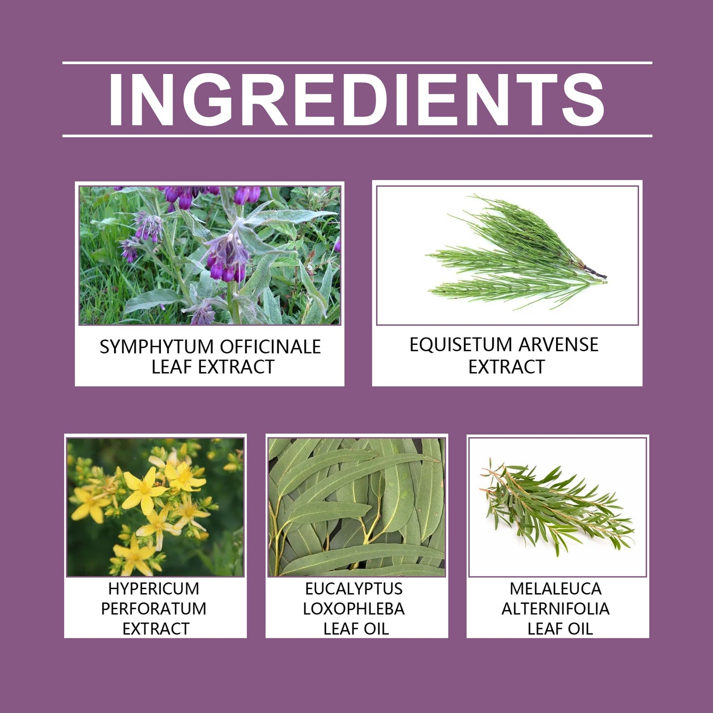 Premium Herbal Joint Care Ointment for Comfort