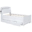 Cama Plataforma Elegante de Tamaño Twin con Almacenamiento y Cabecera LED