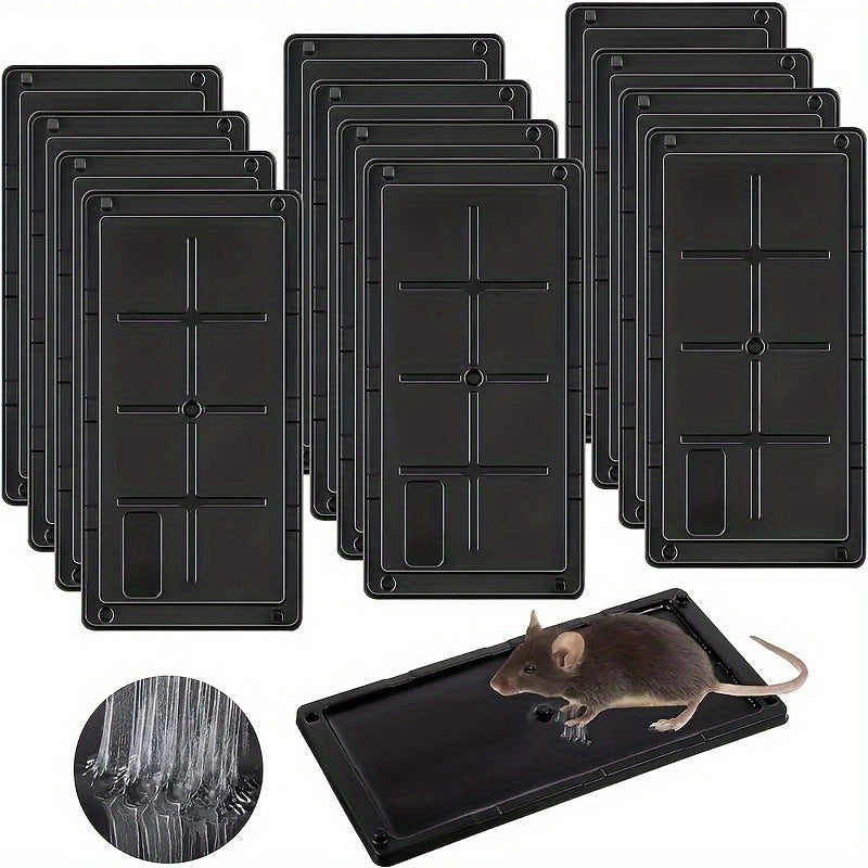 Pièges à souris et insectes en colle premium - 2 pièces