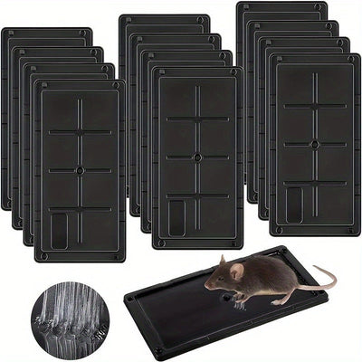 Premium Mouse & Insect Glue Traps - 2 Pack