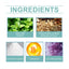 Mouth Freshening Spray Fresh Breath Deodorizer Care Mouth Health Freshening Spray - Korvel